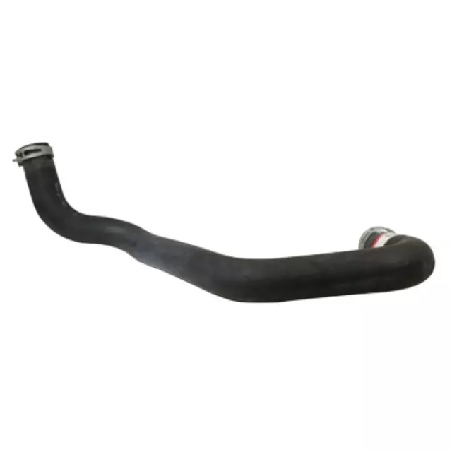 Radiator Coolant Hose - Ford (1C3Z-8286-CA)