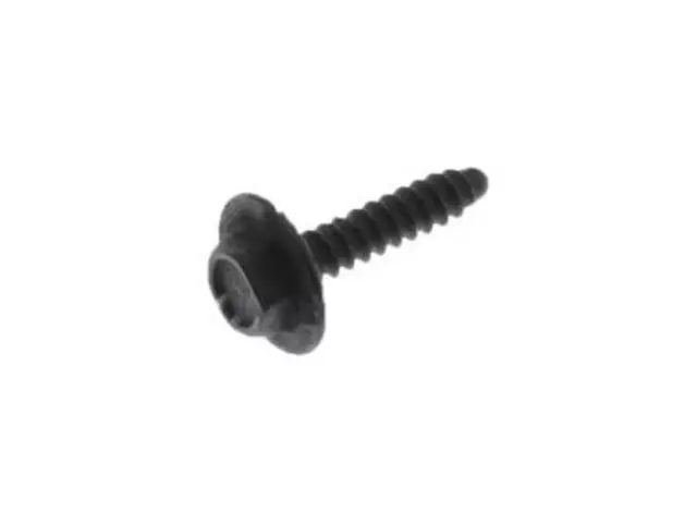 Passenger Air Bag Retainer Screw - Ford (W707628-S424)