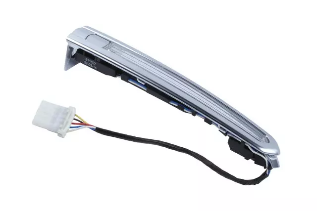 2013-2014 GM Molding Insert - GM (13580435)