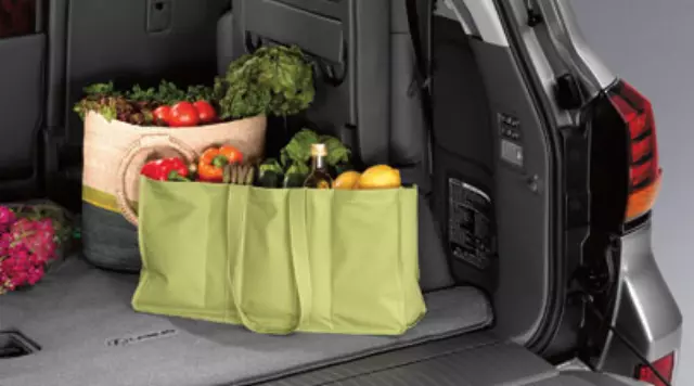 Carpet Cargo Mat - Black - Lexus (PT206-LX111-20)