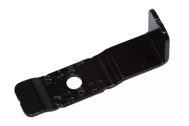Rear License Plate Lamp Bracket - GM (84677970)