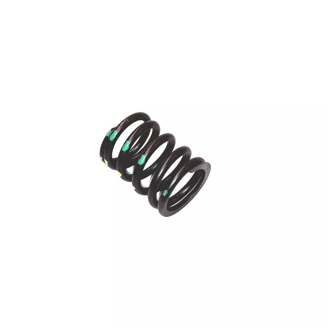 78109623A - Engine: Valve Springs for Volkswagen: Cabrio, Cabriolet, Corrado, EuroVan, Fox, Golf, Jetta, Passat Image