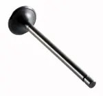 EM2169 - : Engine Exhaust Valve for Enginetech Image