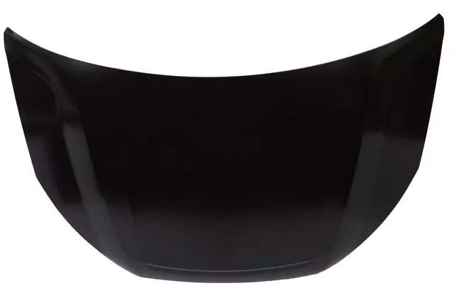 Hood - GM (22756991)