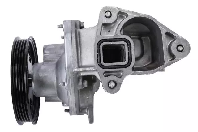 Acdelco™ Engine Water Pump - GM (251823)