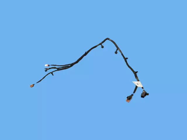 Seat Back Panel Dvd Wiring - Mopar (68297559AD)