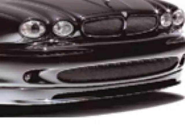 C2S38966 - Exterior: Mesh Grille - Lower for Jaguar Image