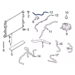 LX6Z8075R - : Overflow Hose for Ford: Bronco Sport, Maverick Image
