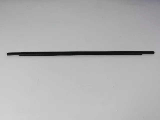 68070052AD - Doors, Door Mirrors and Related Parts: Front Door Belt Outer Weatherstrip, Right for Mopar Image