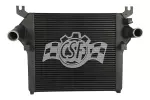 6000 - : Intercooler for CSF Image
