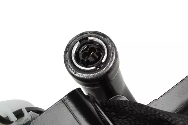 19351677 - Electrical: Outer Belt Assembly for Cadillac: Escalade, Escalade ESV | Chevrolet: Silverado 1500, Suburban, Tahoe | GMC: Sierra 1500, Yukon, Yukon XL Image