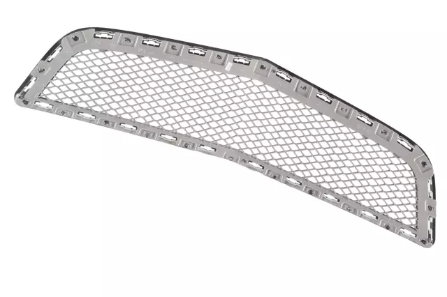 15944629 - Body: Lower Grille for Chevrolet: Traverse Image