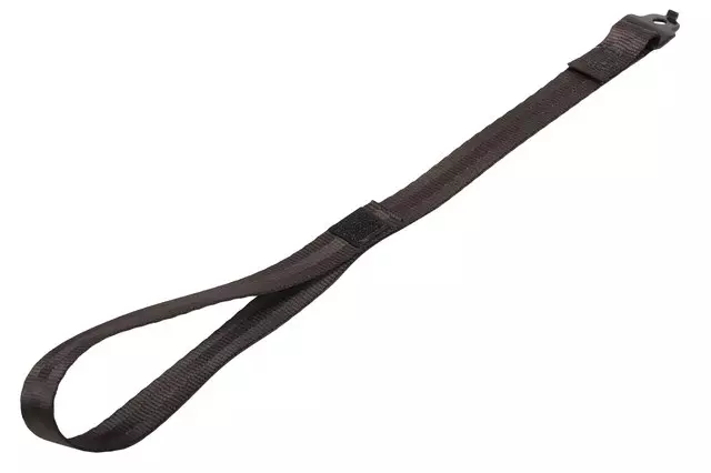 22971694 - Body: Pull Strap for Buick: Enclave Image