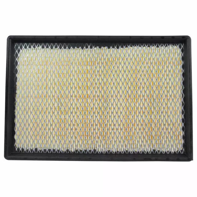Air Filter - Ford (E5TZ-9601-B)