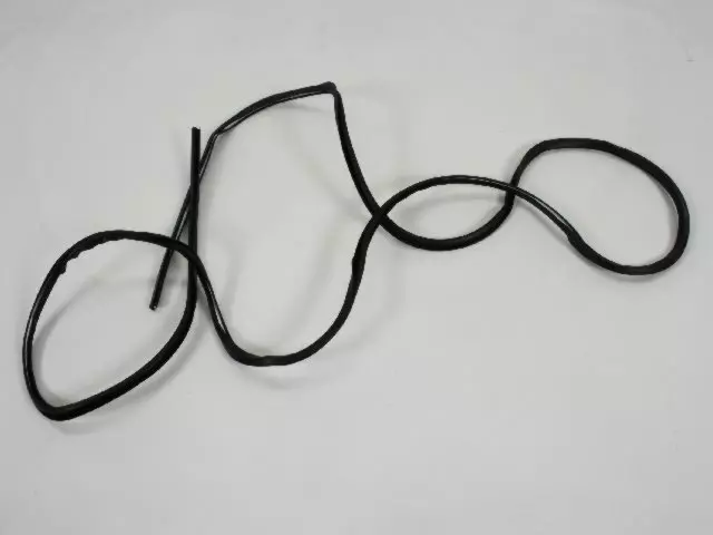 Molding - Mopar (04716936)