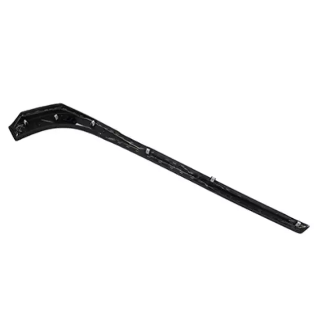Trim Molding - Ford (DS7Z-54061A17-AA)