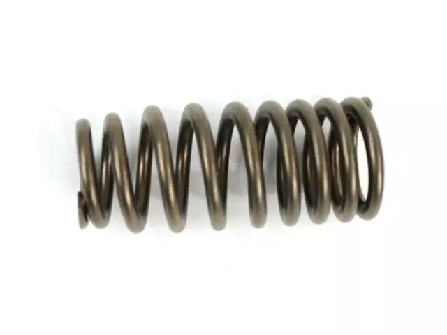 Valve Spring - Mopar (4892675aa)