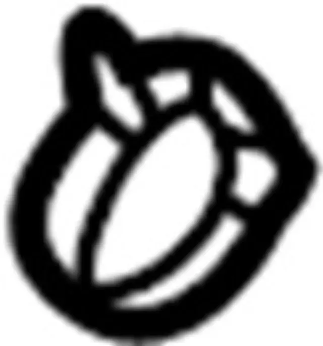 392425V010 - Unclassified: Band-Boot, Drive Shaft for Infiniti Image