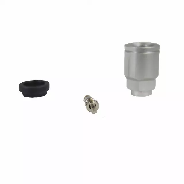 Valve Stem - Ford (2L2Z-1565-AA)