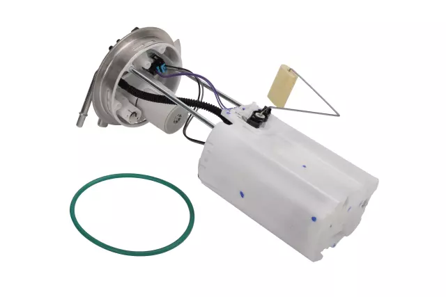 Fuel Pump and Level Sensor Module with Seal - GM (19352886)