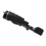 45260254 - : B4 OE Replacement (Air) - Air Suspension Strut for Bilstein Image