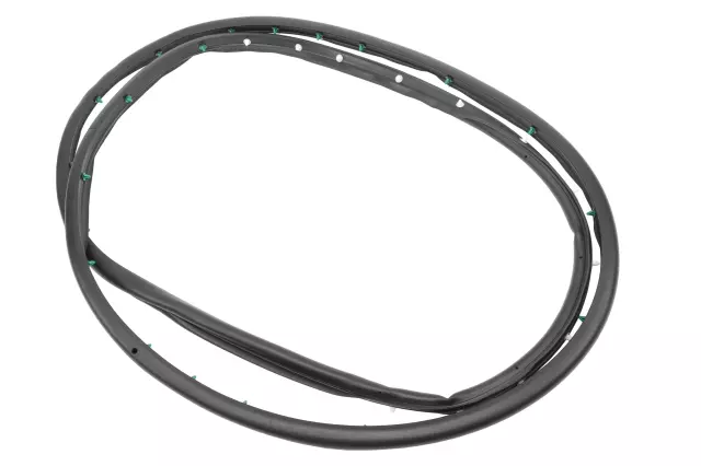 2013-2019 Cadillac XTS - Door Weather-Strip - GM (20864647)