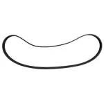5060453 - : POLY RIB BELT, DAYCO for DAYCO HYDRAULIC Image