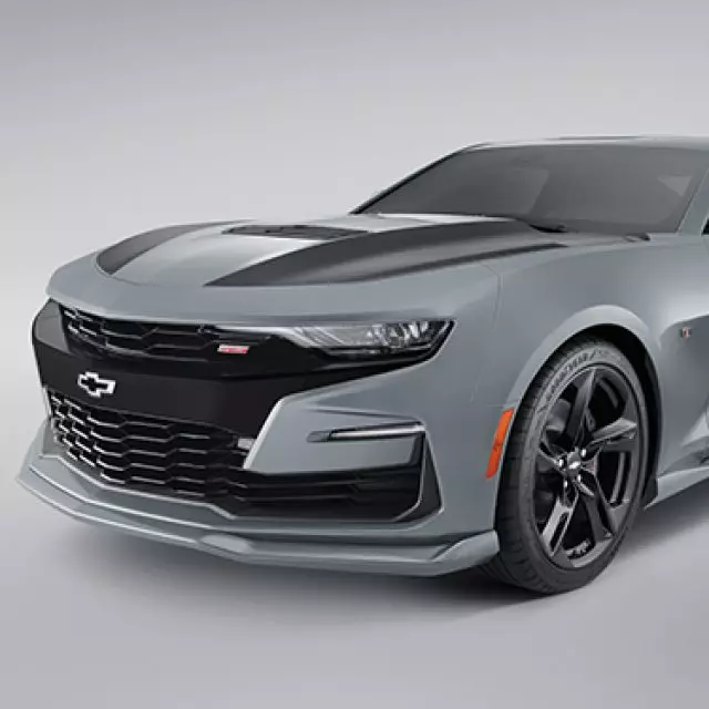 Exterior, Ground Effects - GM (84296588)