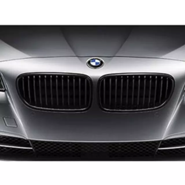 51712165539 - : 2011-2016 BMW - M Performance Black Kidney Grille - Left for BMW: 528i, 528i xDrive, 535i, 535i xDrive, 550i, 550i xDrive, ActiveHybrid 5, M5 Image