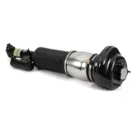 AS3375 - : Arnott Air Suspension Strut for Arnott Image