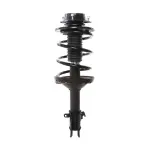 816552 - : PRT 816552 Suspension Strut and Coil Spring Assembly for PRT PERFORMANCE RIDE Image
