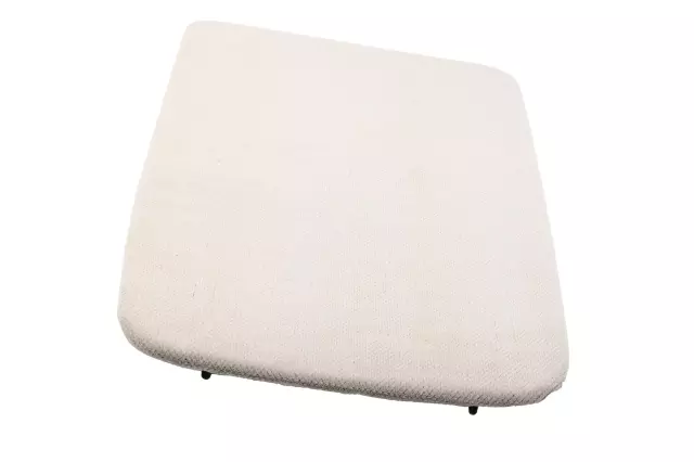 19123967 - : Light Neutral Driver Seat Back Finish Panel for Chevrolet: Impala Limited Image