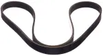 117205NA0A - : Serpentine Belt for Infiniti Image