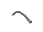 55038116AA - : Radiator Outlet Hose for Chrysler: 300 | Dodge: Charger, Magnum Image