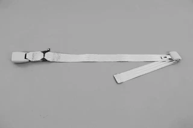 YZ591D5AA - Electrical: Buckle End for Chrysler: Town &amp; Country | Dodge: Caravan, Grand Caravan Image