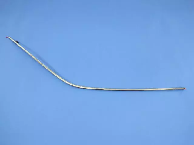 4805810AB - Exterior Ornamentation: Front Door Molding, Right for Mopar Image image