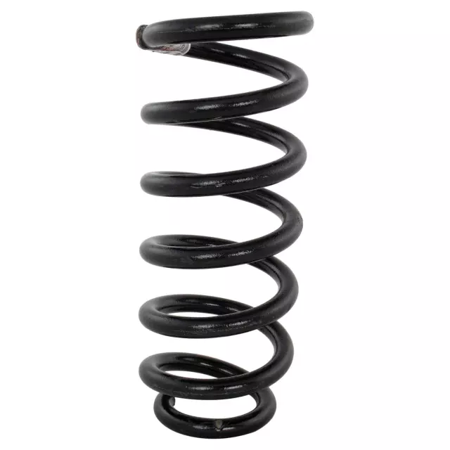 DG1Z5560B - Suspension: 2013-2019 Ford Coil Spring for Ford: Police Interceptor Sedan, Special Service Police Sedan, Taurus Image