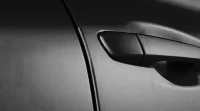 PT9366011002 - Exterior: 2011-2020 Lexus GX460 - Door Edge Guards, Black Onyx for Lexus: GX460 Image