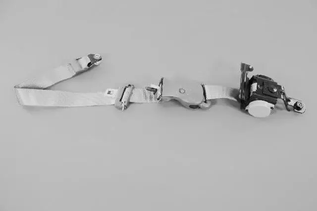 1CK42ZJ3AA - Interior Trim: 2nd Rear Outer Seat Belt, Right for Mopar Image