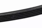 55350420 - : Accessory Drive Belt for ACDelco Image