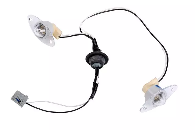 License Lamp - GM (25947302)