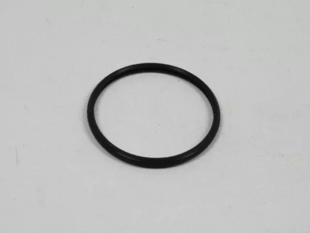 5086740AA - Engine: Thermostat Seal for Mopar Image