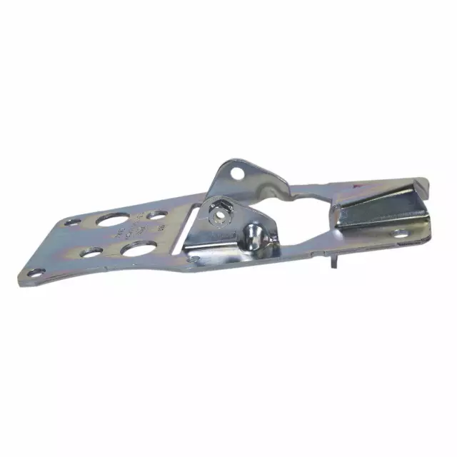 9L3Z99430B22A - Body: Tailgate Trim Cover Cap for Ford Image