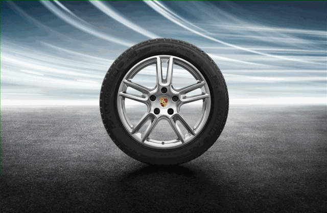 971044600A - Wheels: 19-Inch Panamera Winter Wheel-And-Tire Set for Porsche: Panamera Image