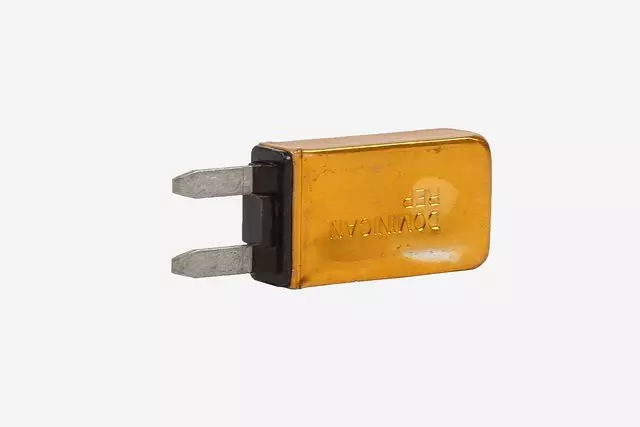 Circuit Breaker - GM (19210055)