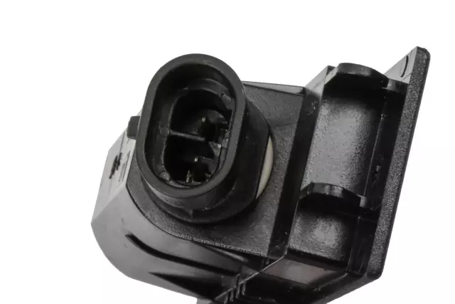 Rear License Plate Lamp - GM (20944894)