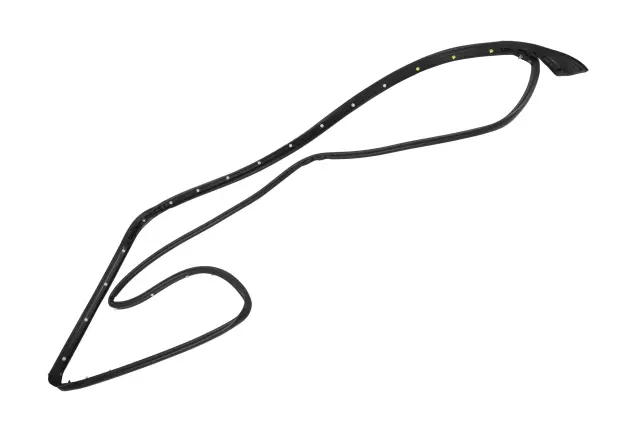 84741688 - : Door Weather-Strip for Chevrolet: Silverado 1500, Silverado 1500 LTD | GMC: Sierra 1500, Sierra 1500 Limited Image