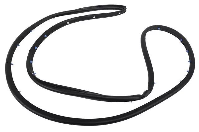 Passenger Side Rear Door Weatherstrip - GM (20864657)