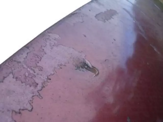 Hood Panel - Ford (4C3Z-16612-AA)