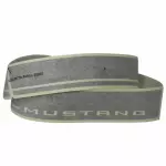 AR3Z6320000BH - Body: Stripe for Ford: Mustang Image
